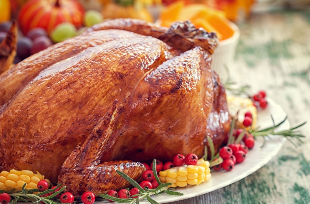 Can I Eat Turkey While Pregnant