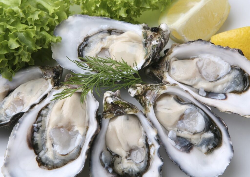 Can I Eat Oysters While Pregnant?