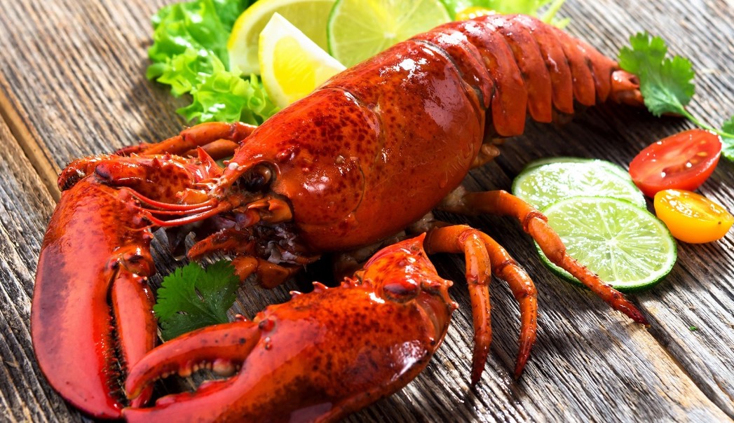 Can I Eat Lobster While Pregnant