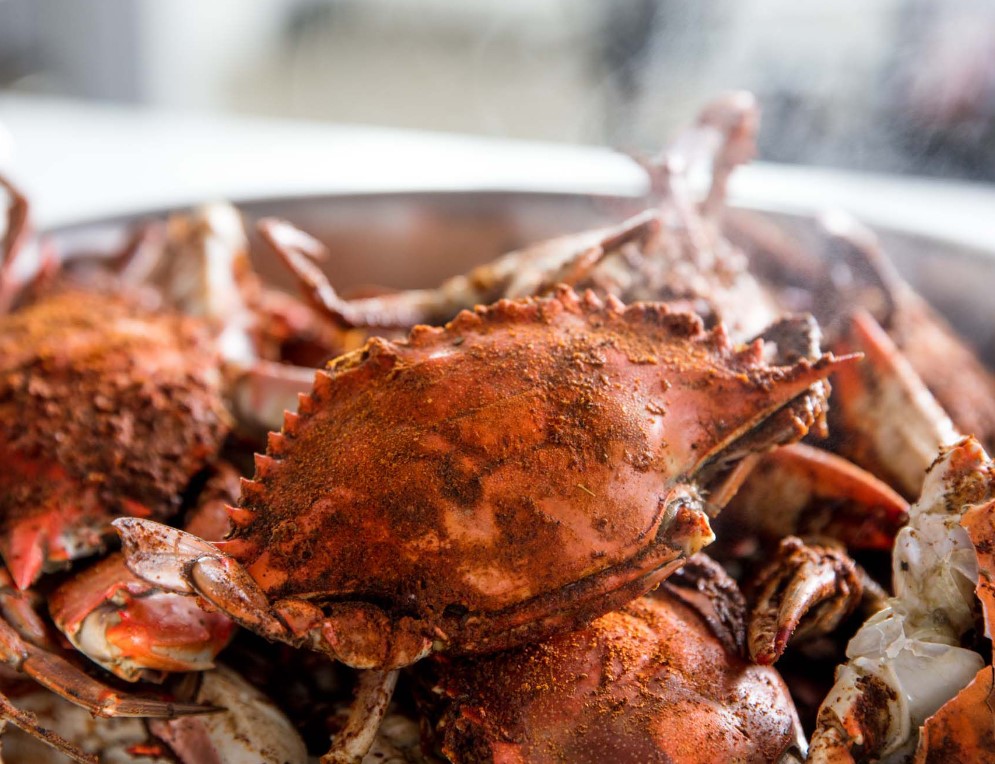 Can Pregnant Women Eat Crab During Pregnancy