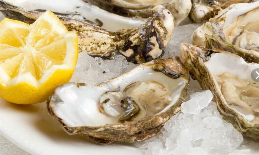 Can I Eat Oysters While Pregnant?