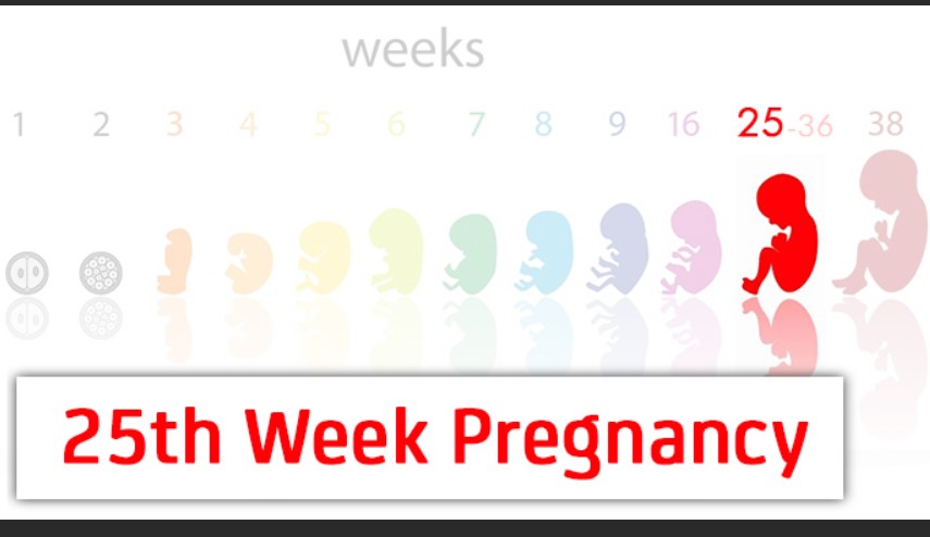 What Things to Avoid at 25 Weeks Pregnant