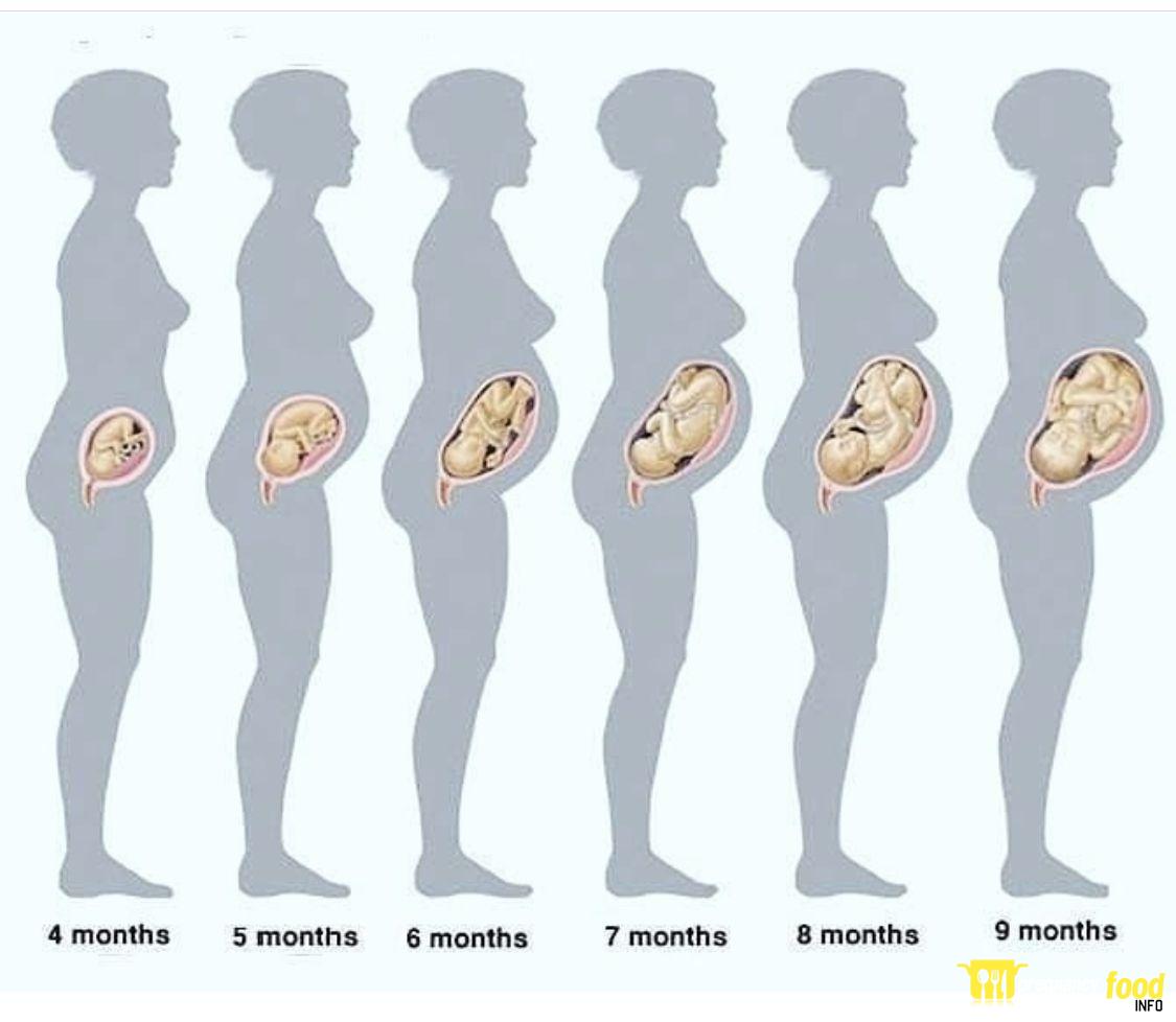 How Big Is a 4 Month Old Baby Stomach?