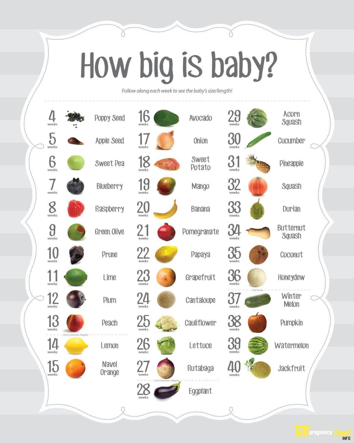 How Big Is a Baby at 3 Months?